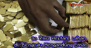 30 Ribu Hektare Lahan di Bengkulu Mengandung Emas