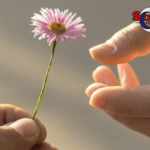 5 Zodiak Ini Terkenal Paling Murah Hati