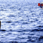 Digerebek Saat Judi Sabung Ayam, Sopir Terjun Ke Sungai